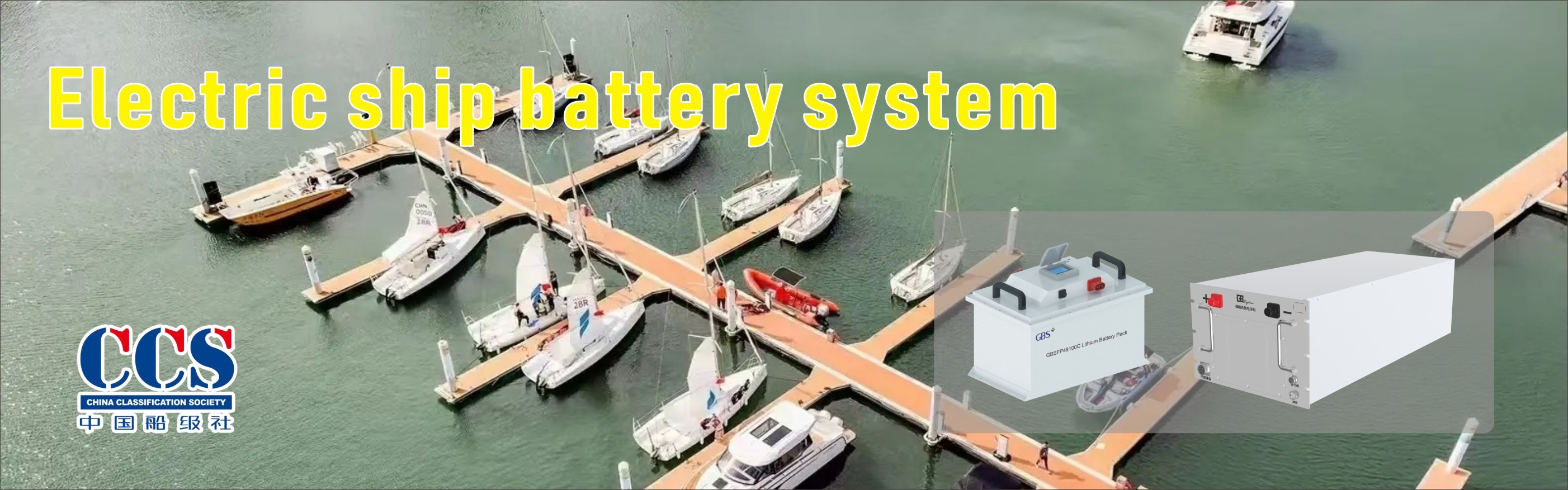 quality Lifepo4 Battery factory