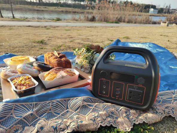 1000W RV Portable Power System For Household Energy Storage 4
