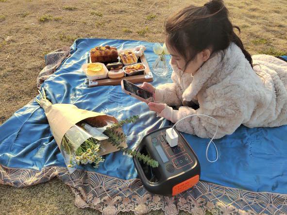 1000W RV Portable Power System For Household Energy Storage 7