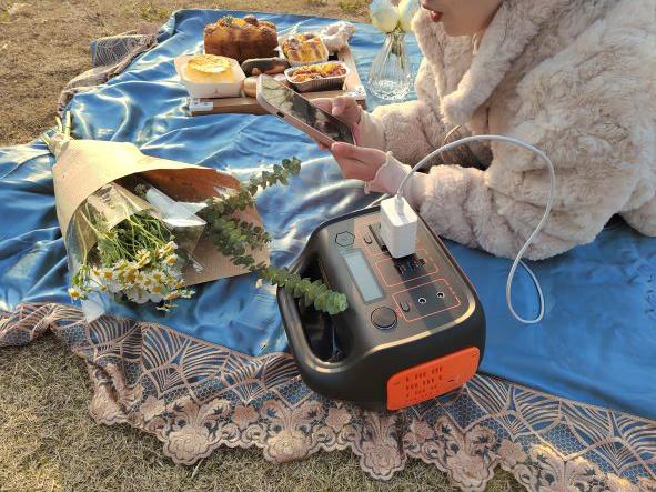 1000W RV Portable Power System For Household Energy Storage 8