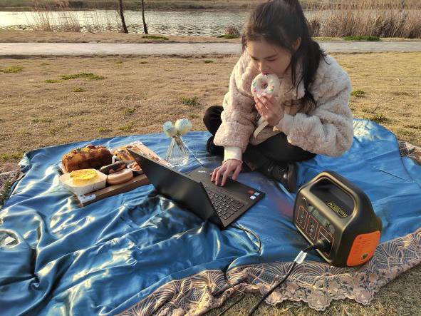 1000W RV Portable Power System For Household Energy Storage 11